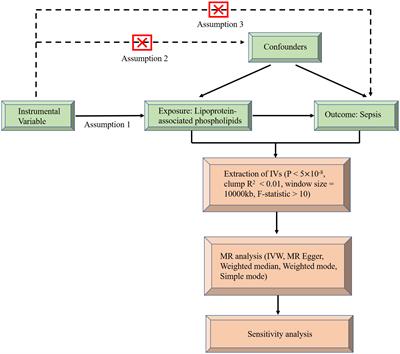 Causal association of lipoprotein-associated phospholipids on the risk of sepsis: a Mendelian randomization study